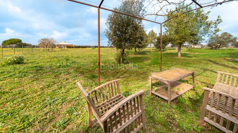 Foto 2fa08693-f5f8-4b96-ab90-b30966ddb7db. Affitto casale con piscina in Campos