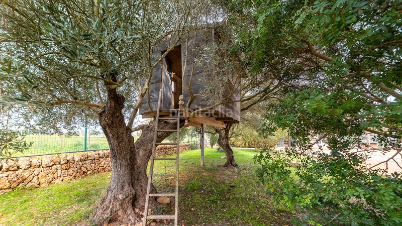 Foto 505a389c-bf7c-4c34-91aa-ee46af6bc868. Affitto casale con piscina in Campos