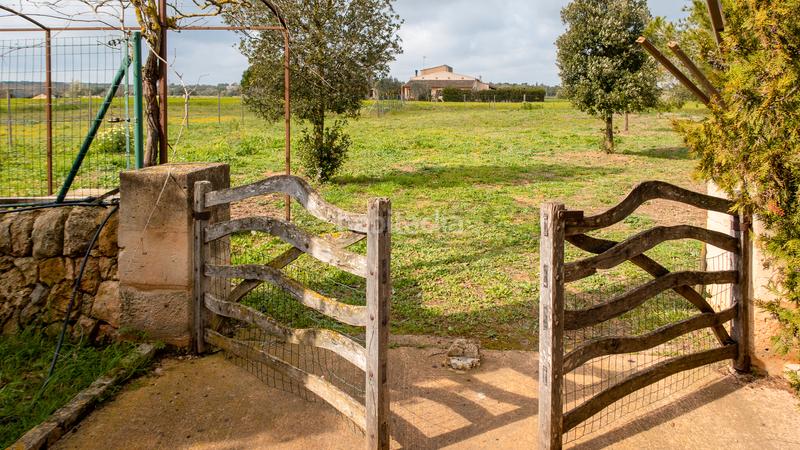 Foto 5918adb0-e75c-4bfd-8390-57897219679e. Affitto casale con piscina in Campos