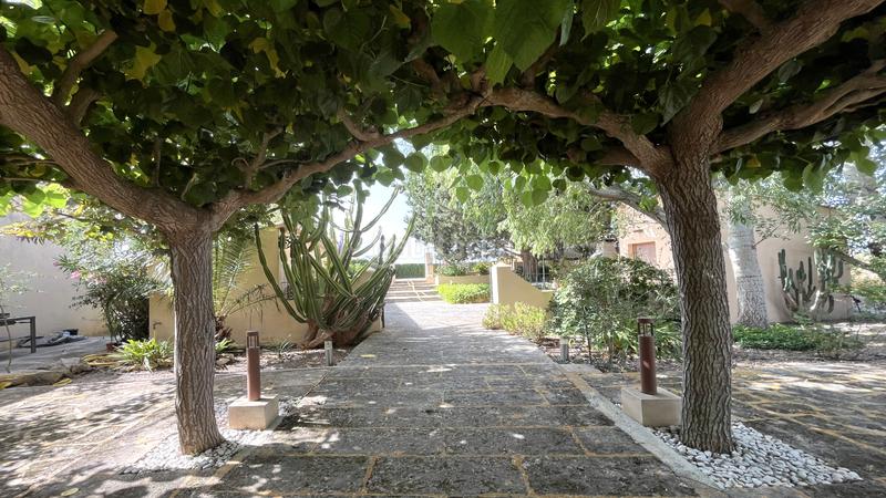 Foto 70b298fb-a9bd-4594-861b-4bd6dc30b029. Location mas avec piscine dans Montuïri