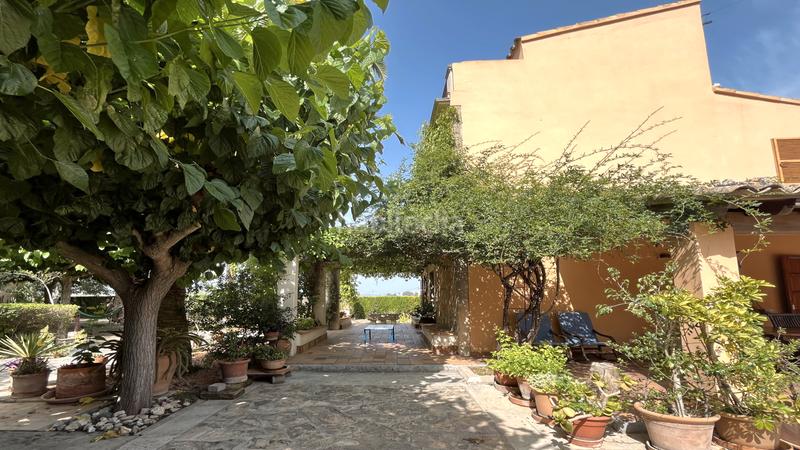 Foto 8ff71593-c4cb-43da-9fc1-80f62fe7224d. Location mas avec piscine dans Montuïri