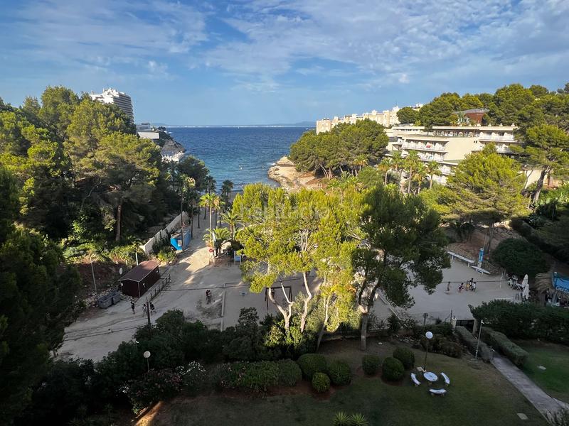 Foto f4d7f56e-fc58-4ec7-a26c-d0841e790144. Lloguer apartament amb piscina a Cala Vinyes Calvià