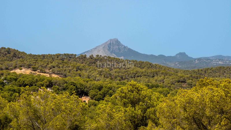 Foto d8c02710-0741-4c46-bb66-f86988130d77. Xalet amb piscina a Costa de la Calma Calvià
