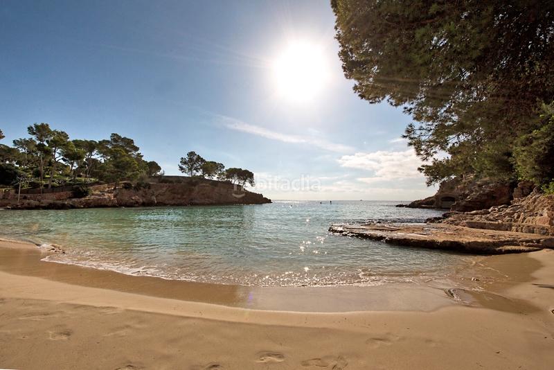 Foto 4e1b8a04-89ad-4795-9026-8b59ac14ad53. Alquiler apartamento en Portals Nous Calvià