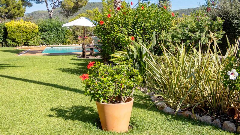 Foto 3e0adcc0-40e3-4dc4-98ad-3a0b9a788fad. Chalet avec piscine dans port d´Andratx Andratx