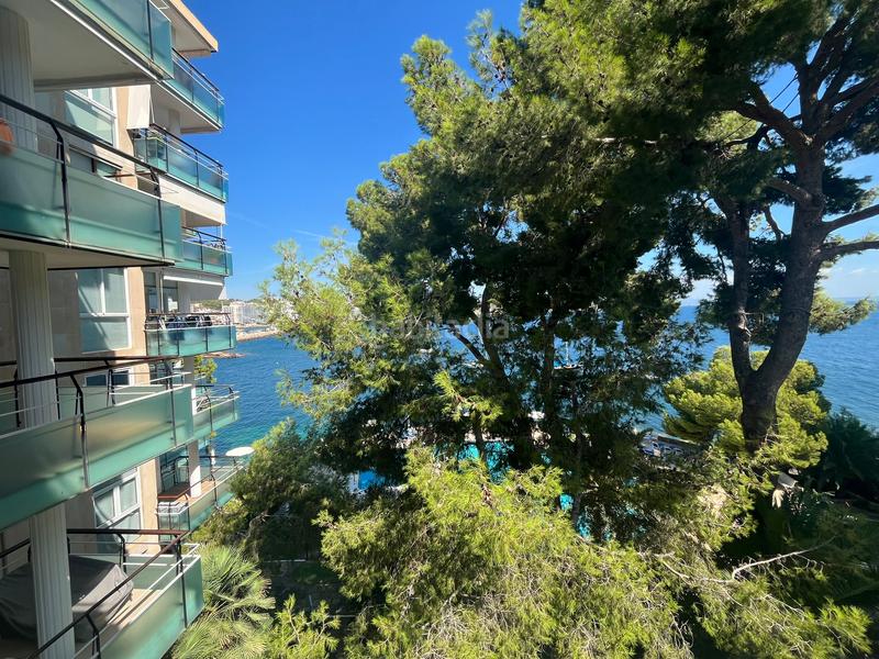 Foto 2046f698-6175-4ddc-82c5-08515b02f381. Lloguer apartament amb piscina a Cas Català-Illetes Calvià