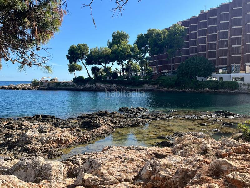 Foto f7098e96-08c5-4460-9f11-faf4deaa7037. Lloguer apartament amb piscina a Cas Català-Illetes Calvià