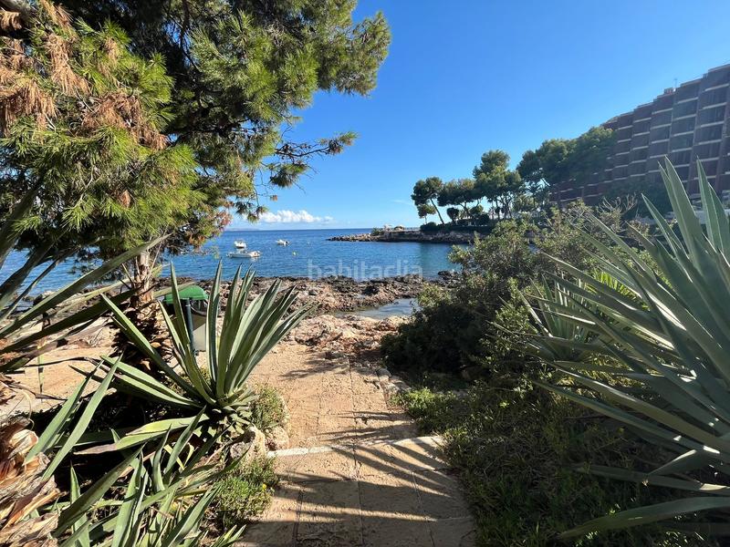 Foto 980368cb-3719-4a29-b6b5-36ea5e701150. Alquiler apartamento en Cas Català-Illetes Calvià