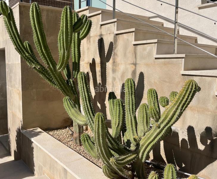 Foto 42ca0ee6-6392-4275-a569-c58606186290. Miete doppelhaus mit pool in Santa Ponça Calvià