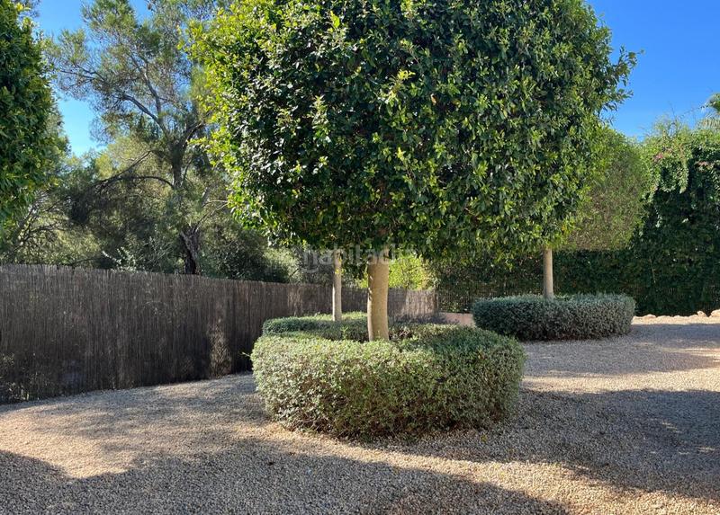 Foto 9eb6ab54-fec1-4b01-99b3-4fe45c3574a0. Miete doppelhaus mit pool in Santa Ponça Calvià