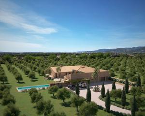 Finca rústica en Zona Periurbana. Finca vinícola singular con proyecto de casa de campo aprobado