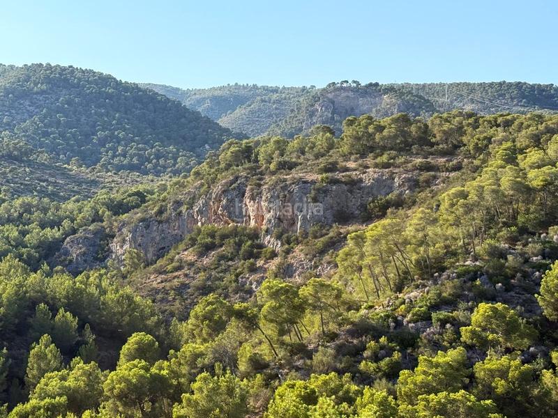 Foto 1811038e-11a1-4531-a31a-0a19f3bae882. Location maison jumelée avec piscine dans Cas Català-Illetes Calvià
