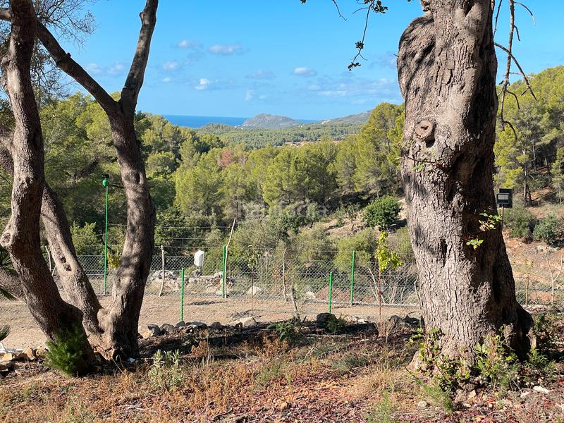 Foto 6d8b9ff1-ab39-4f96-a174-d6ffa8681651. Mas dans Calvià poble Calvià