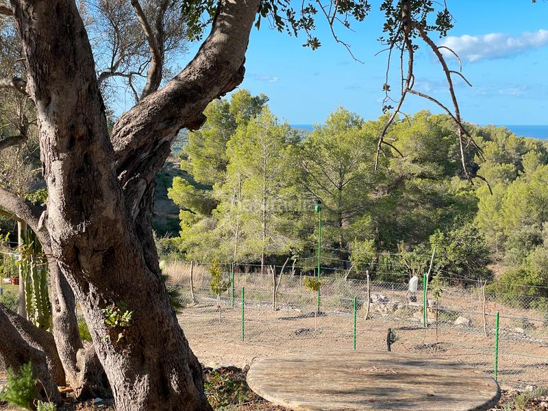 Foto 84bb5f70-a394-4401-b8b8-8630bbe05d9d. Mas dans Calvià poble Calvià