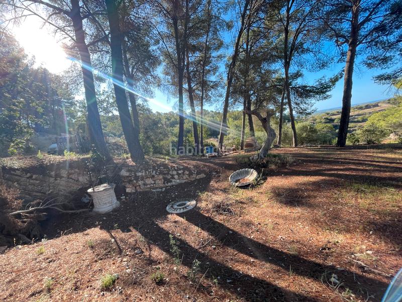 Foto 9d5835ed-c6cb-4af6-81ae-bf9bb8d192fd. Mas dans Calvià poble Calvià