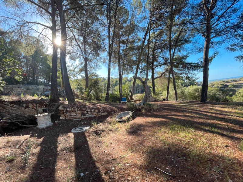 Foto a7a157e9-0d41-4770-a47d-5d31de8970da. Mas dans Calvià poble Calvià