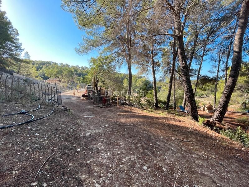 Foto d51790c0-d13b-418f-805b-bb6950b22b02. Mas dans Calvià poble Calvià