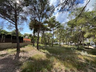 Rural plot in Santa Ponça. Terreno urbanizable en la marina con vistas al mar en santa ponç