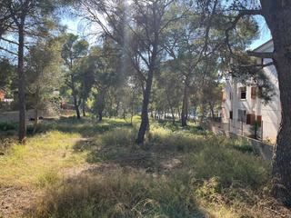 Finca rústica a Santa Ponça. Terreno urbanizable en la marina con vistas al mar en santa ponç