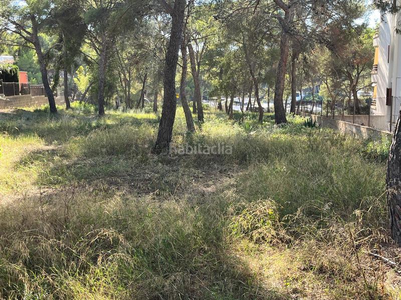 Foto 312deb49-e853-4e40-8d6d-f08da19cef80. Landgut in Santa Ponça Calvià