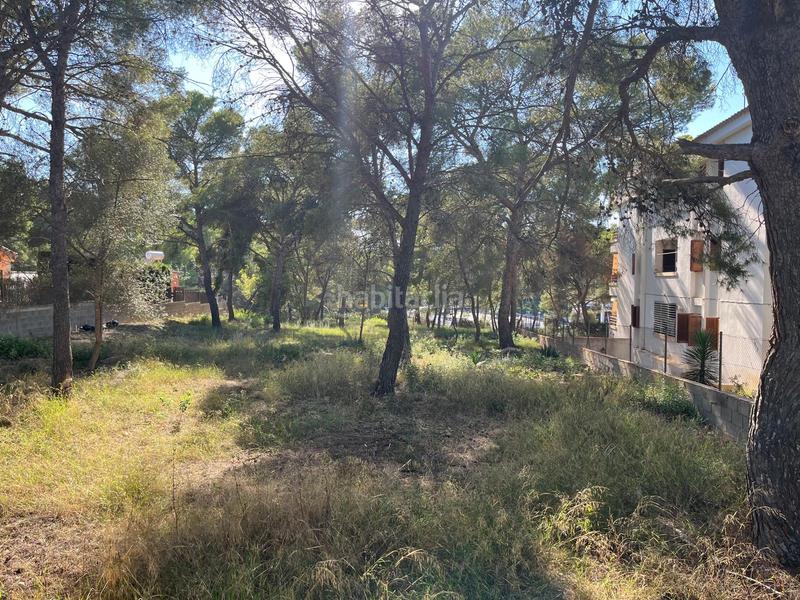 Foto ef10c2f8-dd4b-466e-805b-319f47a0d825. Landgut in Santa Ponça Calvià