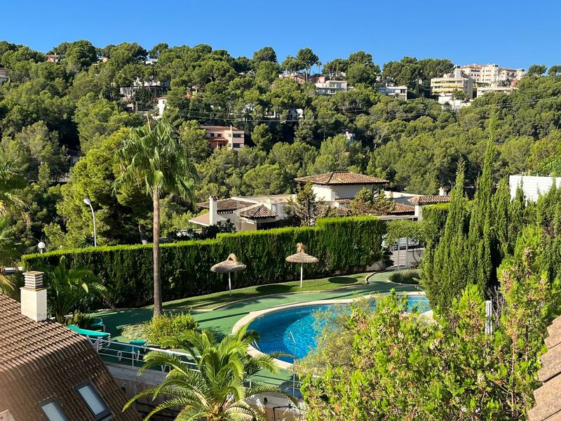 Foto fe063b77-bccb-4769-9da0-81e8e7e5a497. Rent duplex with pool in Cas Català-Illetes Calvià