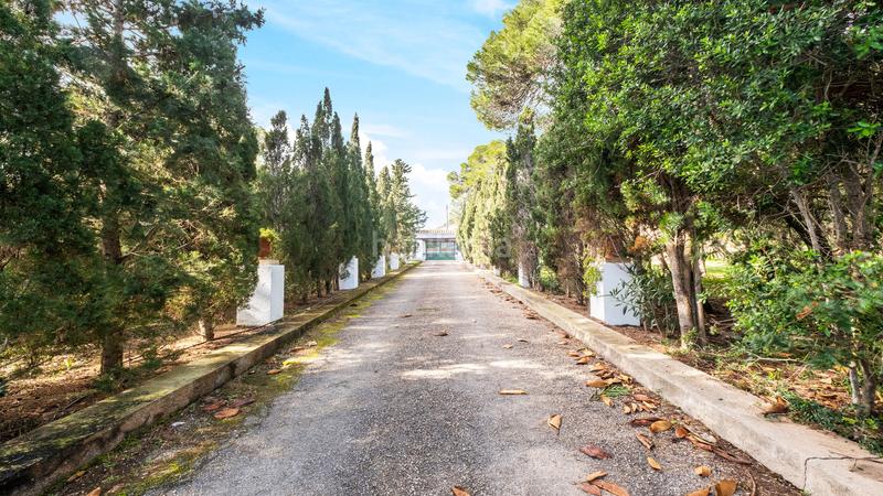 Foto 350c934c-73a1-42e8-a9bb-56f8ff1e564c. Location chalet avec piscine dans Cala Ratjada Capdepera