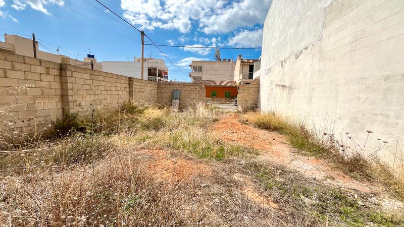 Foto b67be6b9-ab3a-4973-853c-dd6d8edaa84a. Finca rústica a S´Estanyol Llucmajor