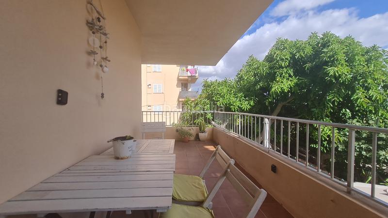 Foto 0e247f5d-9d78-4db2-a389-9fe2cac273d0. Lloguer apartament a Les Maravelles Palma de Mallorca