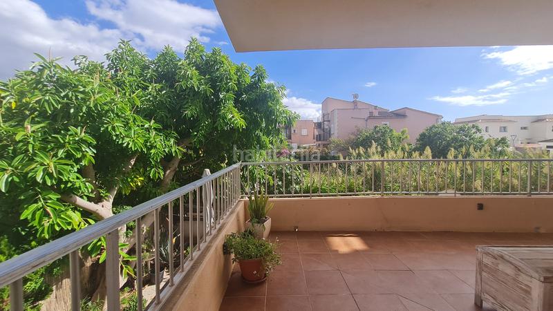 Foto 8684b0af-f475-4641-8ef3-558b183c918a. Lloguer apartament a Les Maravelles Palma de Mallorca