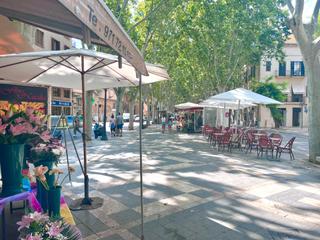 Apartment in La Missió