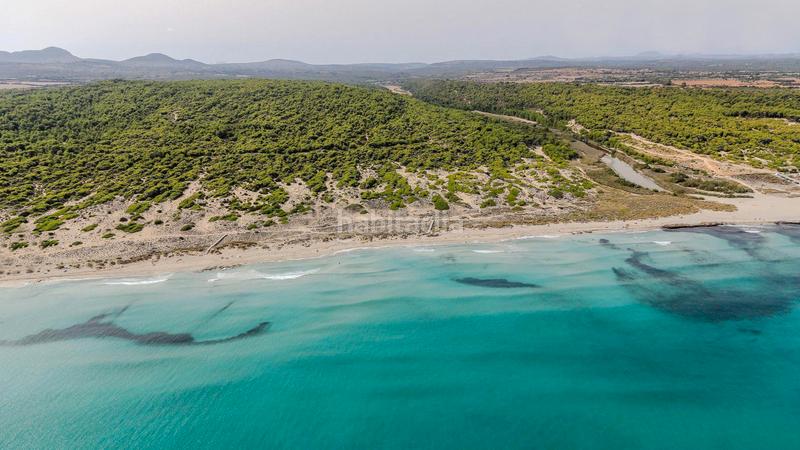 Foto 1384b401-9566-4f6f-b4a2-608a07a42d72. Miete appartement in Son Serra de Marina Santa Margalida