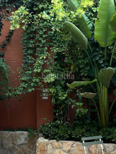 Foto 72e6f8cf-3e7b-44bd-bcc3-ed33f272459e. Affitto piccolo appartamento in El Terreno Palma de Mallorca