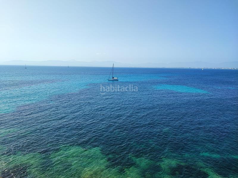 Foto a2670323-6a49-4d5a-a638-82195a7a0453. Affitto piccolo appartamento in Cala Blava-Bellavista Llucmajor