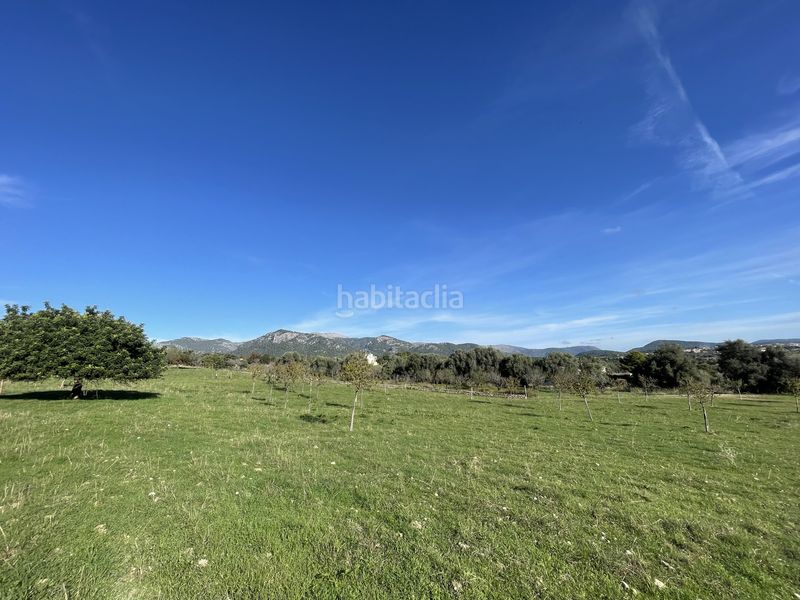 Foto 16d8a492-377c-4bea-9911-ba5128493e34. Finca rústica a Selva