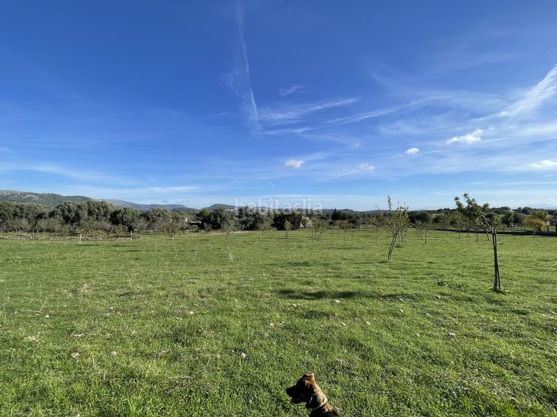 Foto 44553cc3-f21e-4dc5-b3a7-c1155060ce6c. Finca rústica a Selva