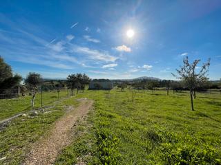 Finca rústica en Selva. Terreno en moscari con proyecto de finca aprobado y vistas panor