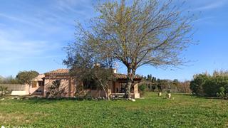 Miete Bauernhof in Pollença Poble