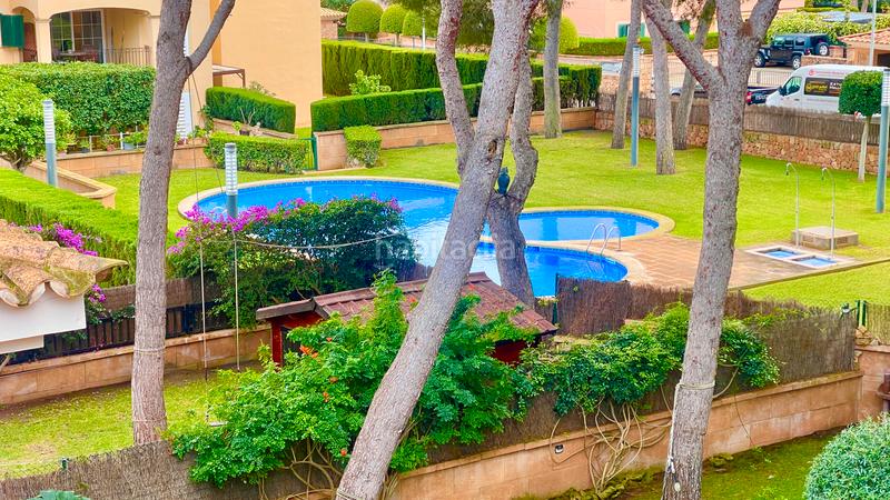 Foto 5f1aee51-8d6d-4562-bf64-dff95807e6b9. Location attique avec piscine dans Maioris-Puig de Ros Llucmajor