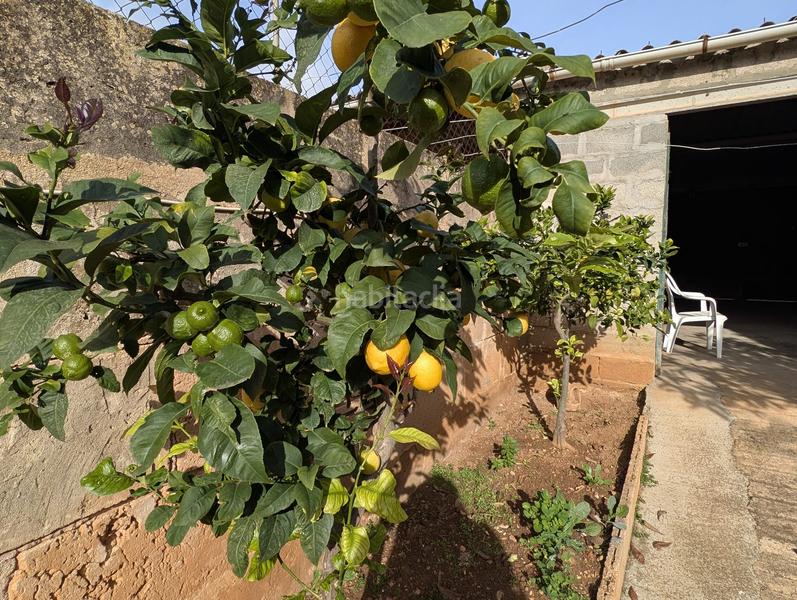 Foto 4eab1b1c-4d43-4462-b07c-82c1d95c2777. Chalet in Es Llombards Santanyí