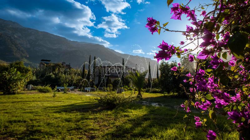 Foto 4ebb2238-315d-4d24-ab24-e3977168c7b0. Miete bauernhof mit pool in Sóller