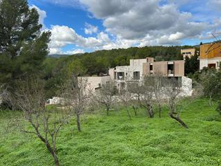 Finca rústica en Los Almendros-Son Rapinya. Solares en venta en son rapinya