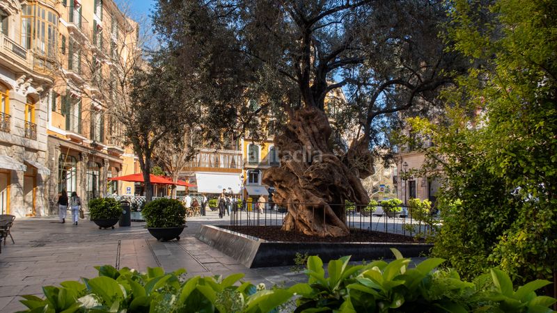 Foto 7b9dd574-08b2-48fd-822b-b937fba575de. Dúplex a Sant Nicolau Palma de Mallorca