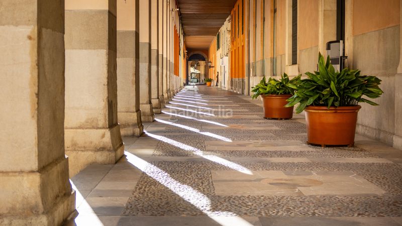 Foto d773189c-07a5-47bd-8066-517c4e91246c. Dúplex a Sant Nicolau Palma de Mallorca