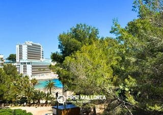 Apartment in Cala Vinyes. Encantador apartamento con acceso directo a la playa de cala vin