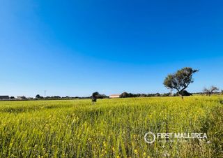 Rural plot in Cala Ferrera - Cala Serena. Terreno rustico con licencia y proyecto