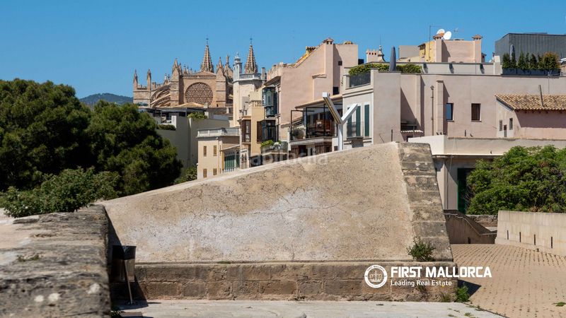 Foto 37e2ce42-5ab8-49cb-8d50-4c31b3994164. Dúplex a La Calatrava Palma de Mallorca