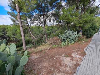 Finca rústica a Portals Nous. Terreno edificable a 5 minutos a pie del pueblo de portals nous