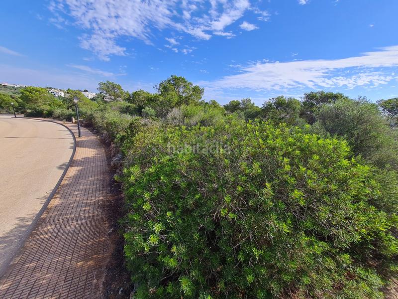 Foto 9b0a478f-f52b-4c94-b593-de5e5c0b6c90. Finca rústica solar en inmejorable zona del puerto en cala dor en Santanyí