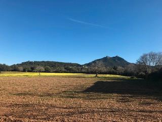 Finca rústica a Felanitx Poble. Magnífica finca cerca de felanitx con vistas a molinos y sant sa